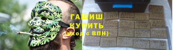 ешки Бородино