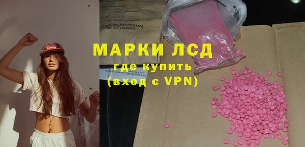ПСИЛОЦИБИНОВЫЕ ГРИБЫ Богданович