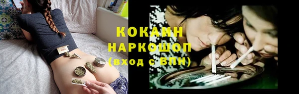 ешки Бородино
