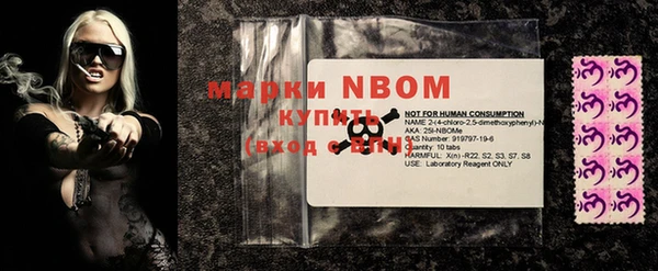 ешки Бородино