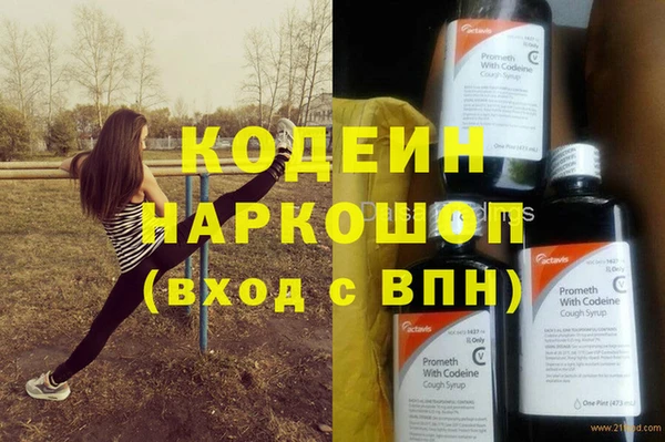 ешки Бородино